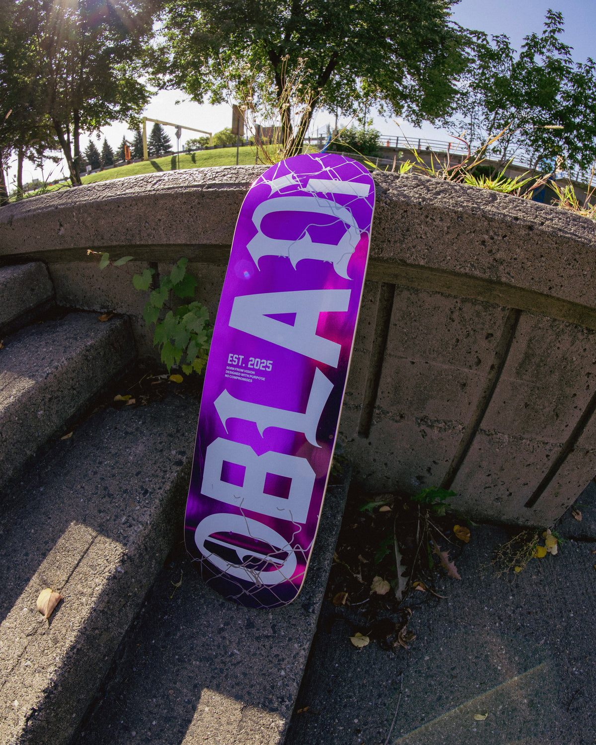 OBLADI SKATEBOARD DECK